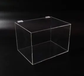 Clear Acrylic Display Case Big