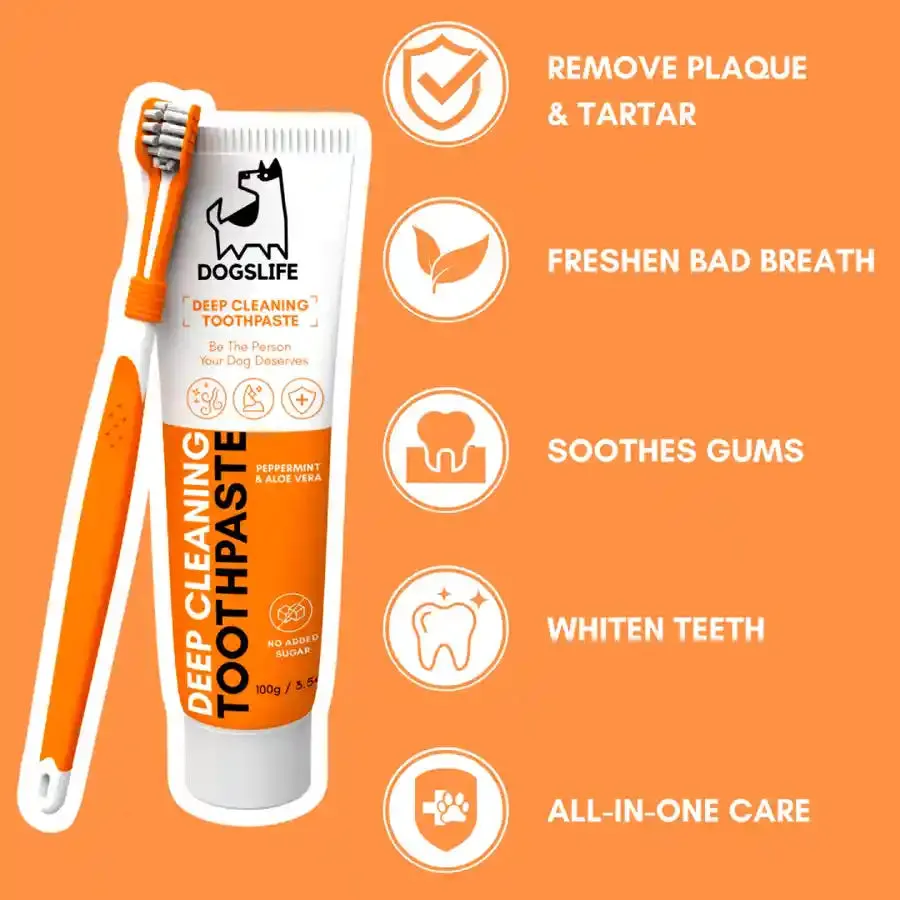 Dogslife Dental Care Kit with Triple Head Toothbrush and Toothpaste