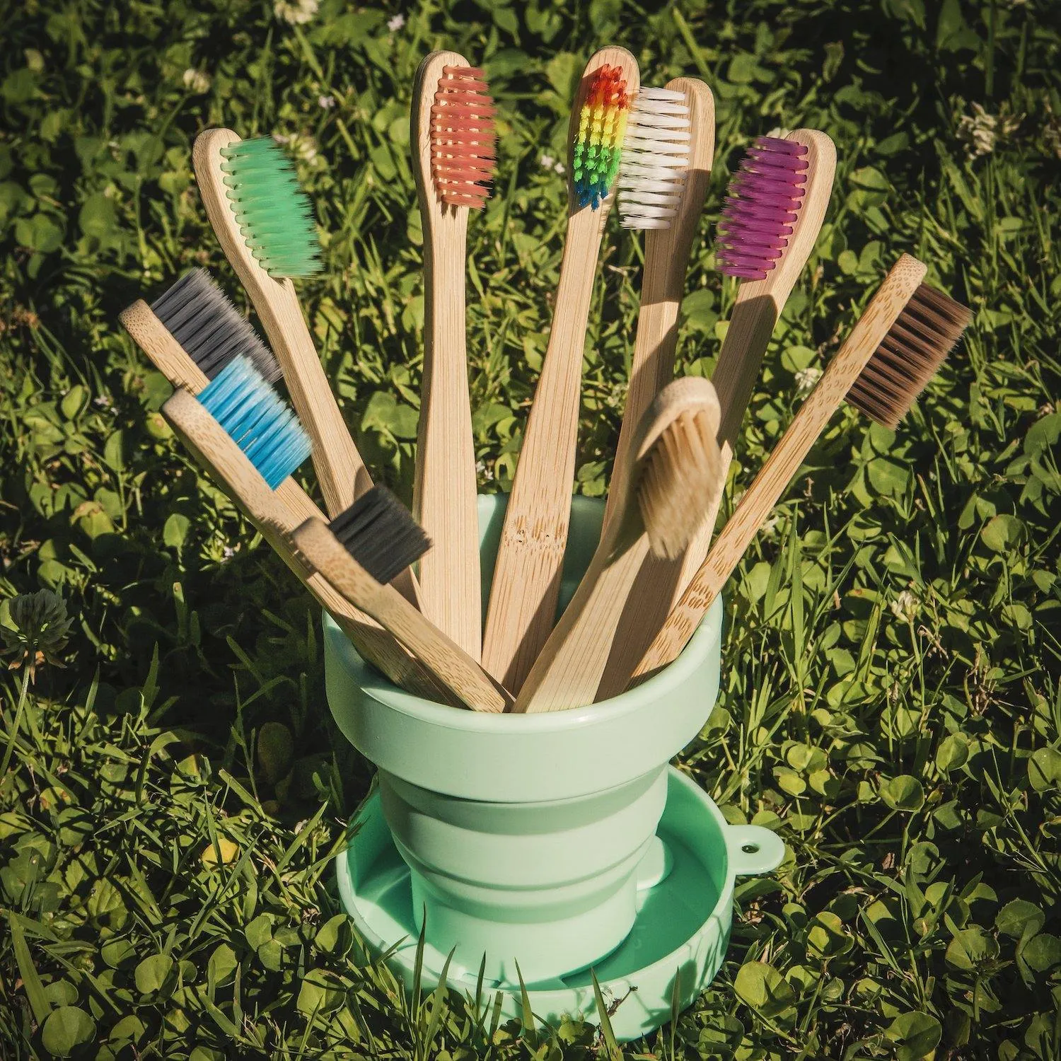 Natural Bamboo Toothbrush Soft Bristles Pack of 50