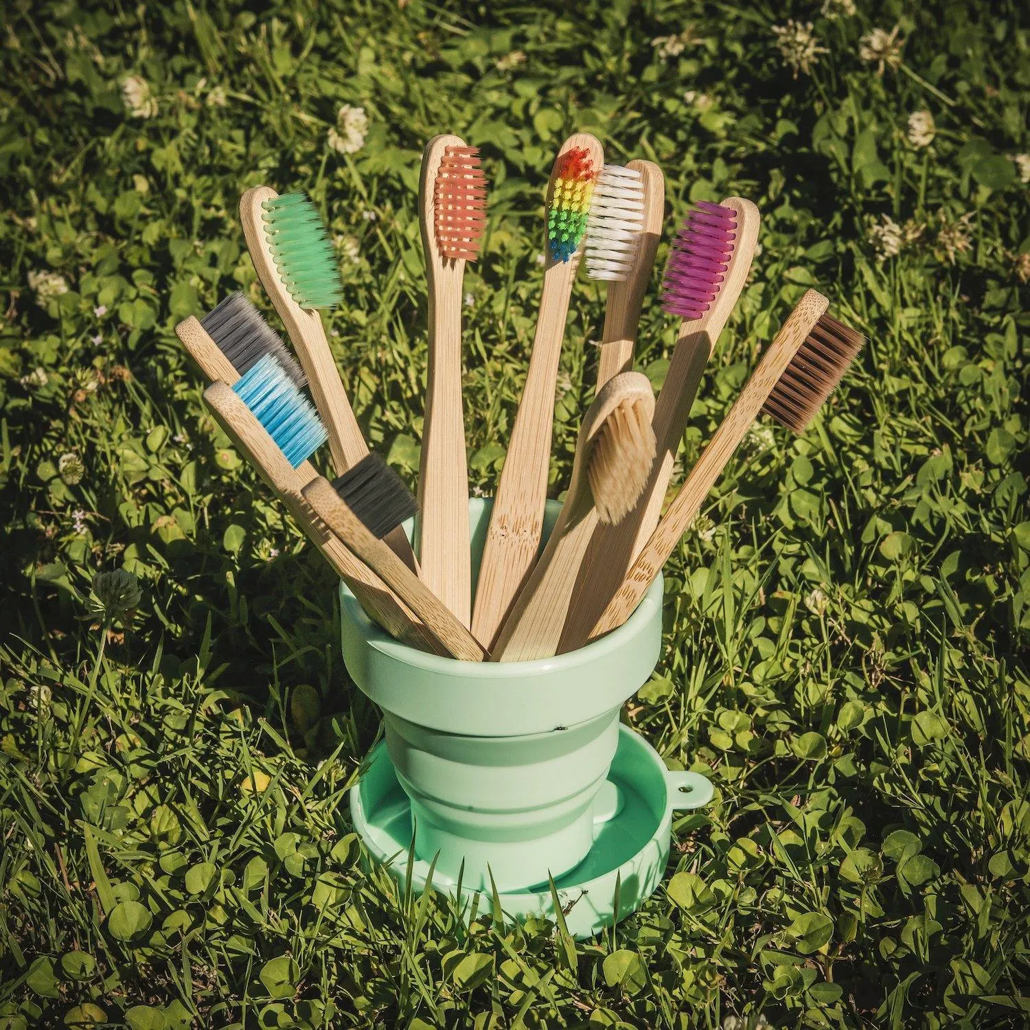 Natural Bamboo Toothbrush Soft Bristles Pack of 50