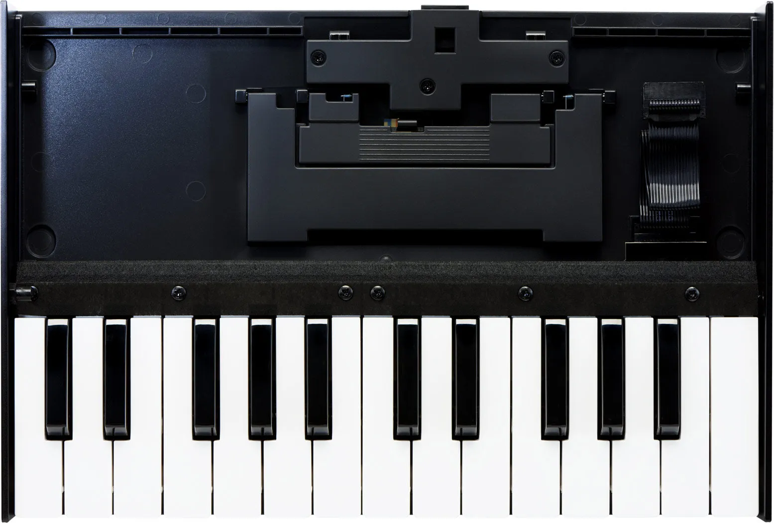 Roland K-25M Boutique Series Keyboard Unit