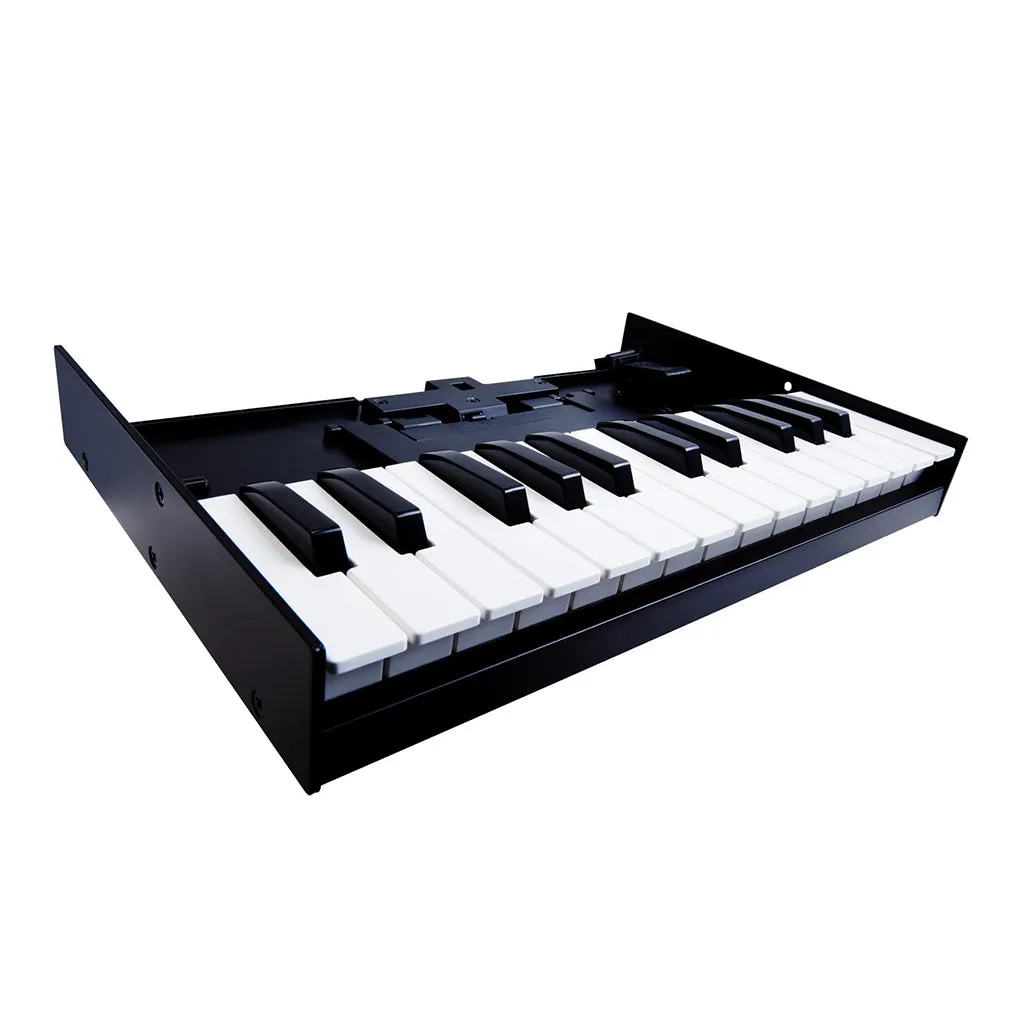 Roland K-25M Boutique Series Keyboard Unit